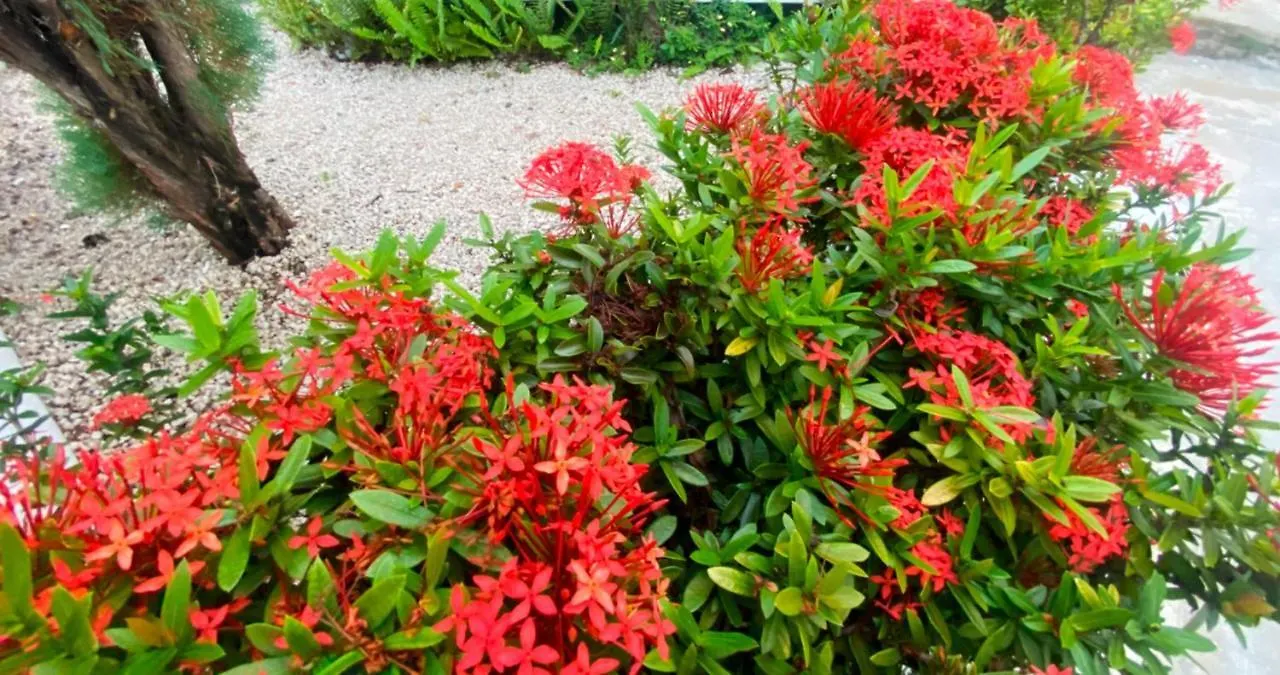 아파트 Quiet Apartment, 3 Minutes From The Beach, 24H Security, Excellent Internet 푸에르토플라타